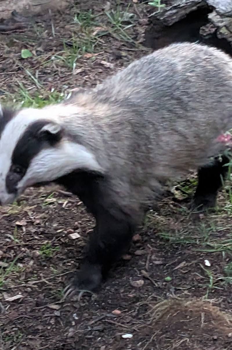 Speyside Wildlife — Place photograph