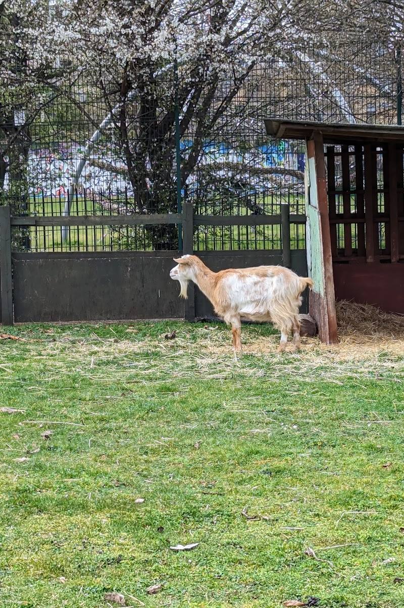 Spitalfields City Farm