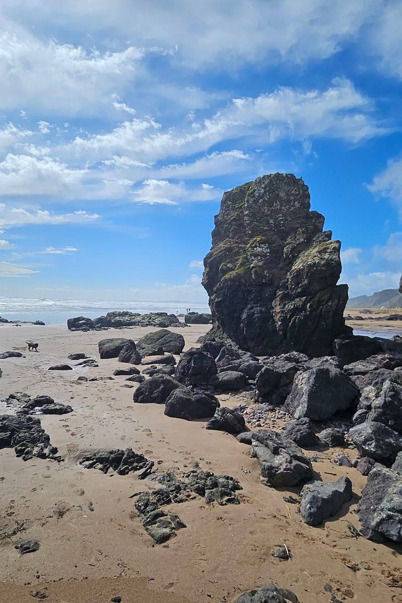 St Cyrus National Nature Reserve — Place photograph (3 of 3)