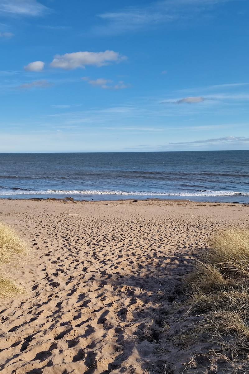 St Cyrus National Nature Reserve — Place photograph (1 of 3)