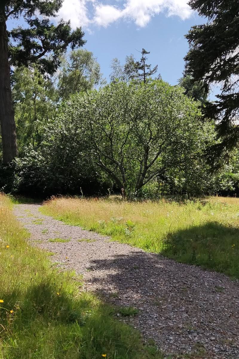 St Roche’s Arboretum — Place photograph