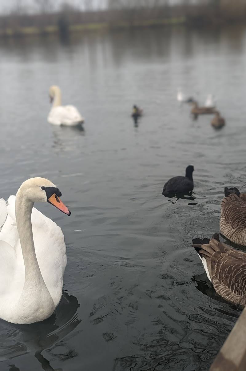 Stanborough Park Water Sports Centre