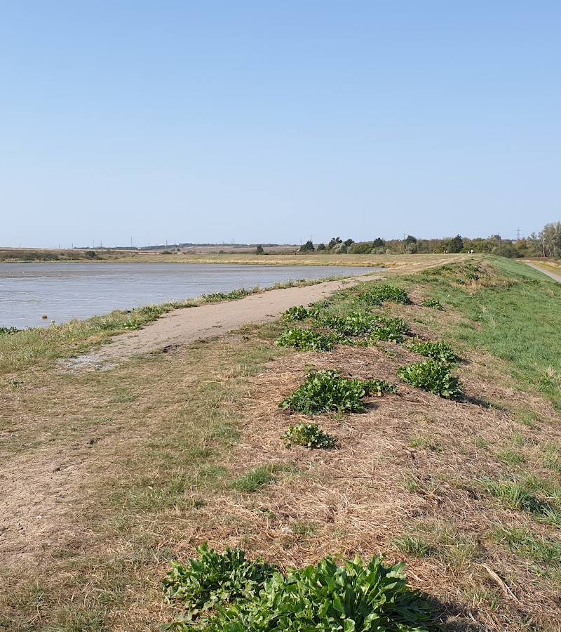 Stanford Wharf Nature Reserve — Place photograph (2 of 3)