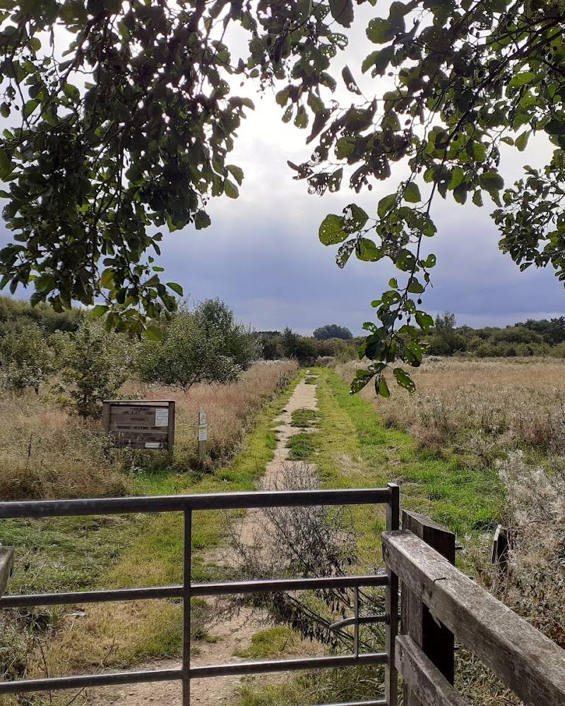 Staveley Nature Reserve — Source image