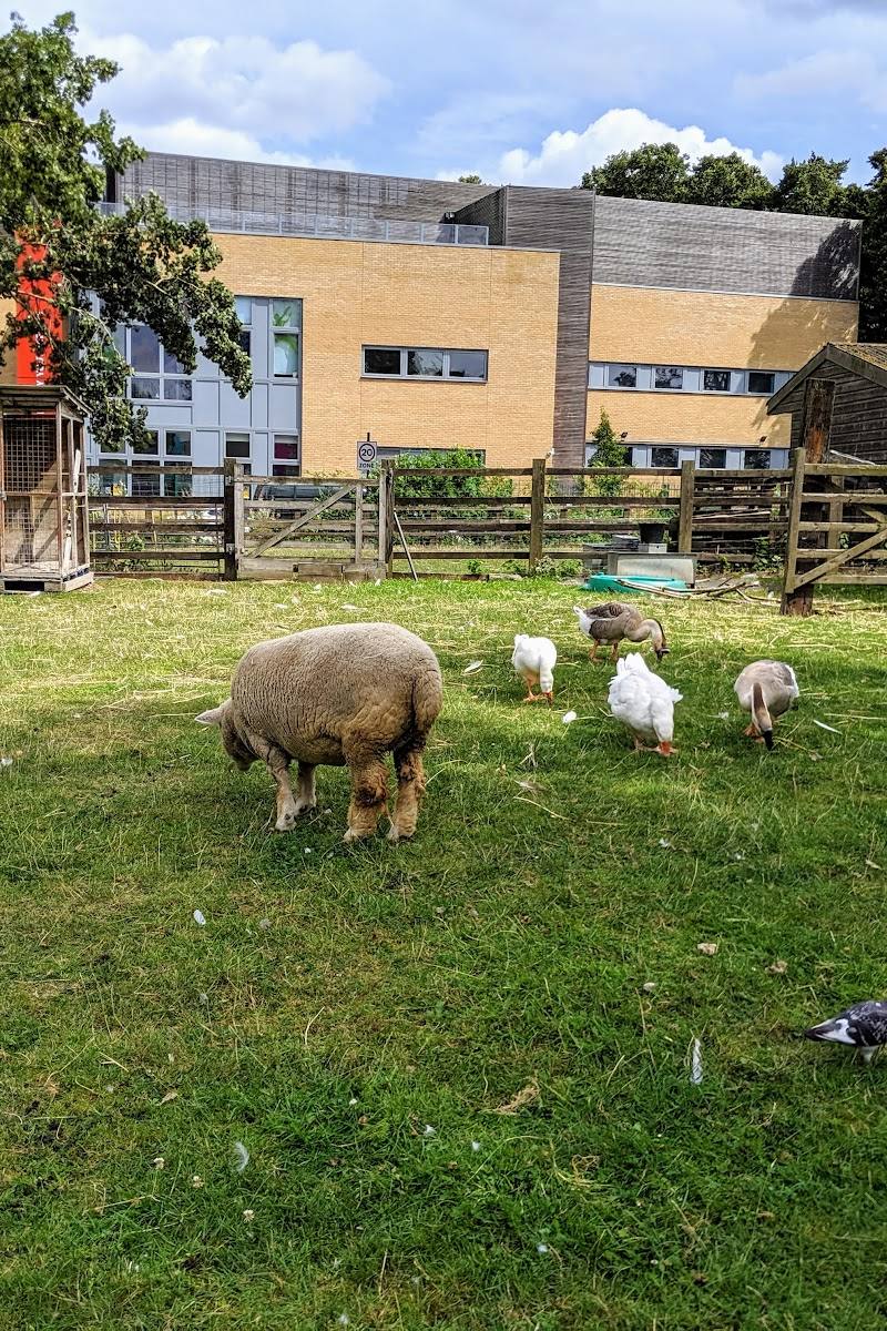 Stepney City Farm