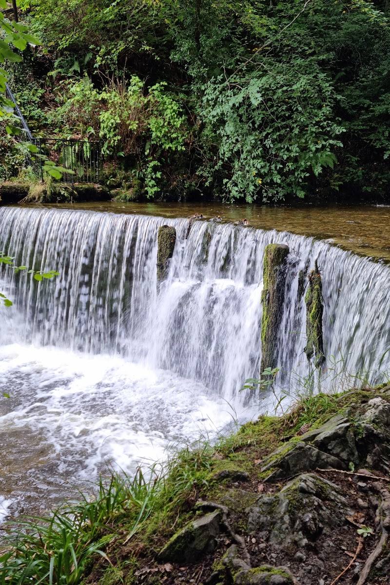 Stock Ghyll Force — Place photograph