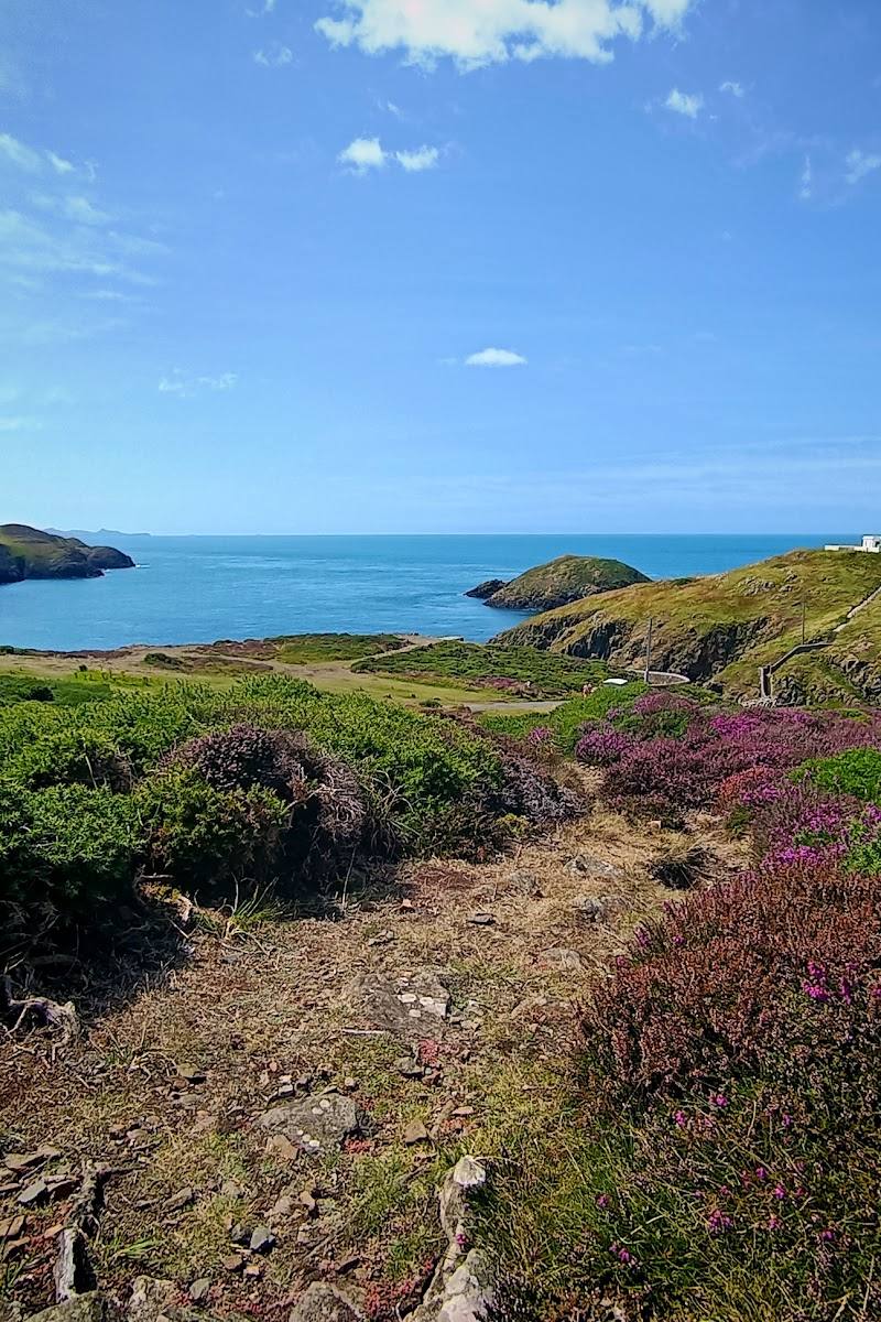 Strumble Head