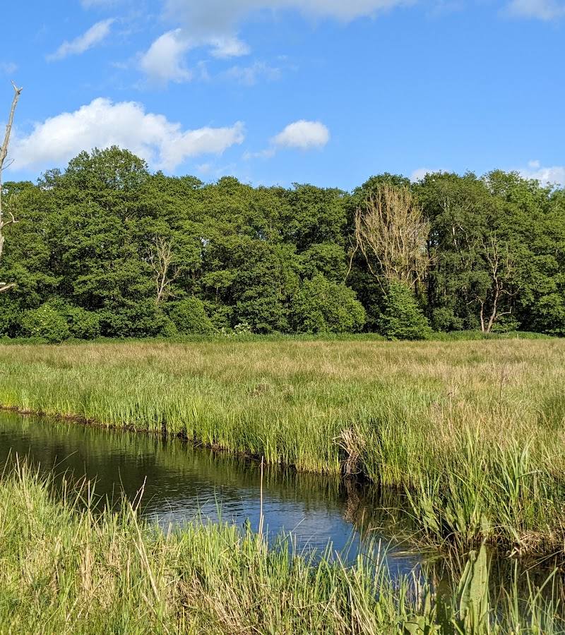 Strumpshaw Fen — Source image