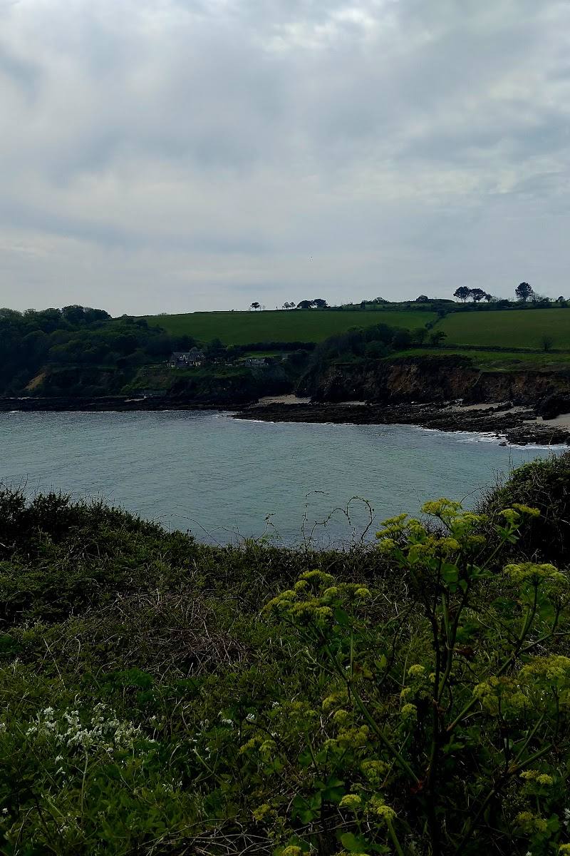 Swanpool Beach — Place photograph
