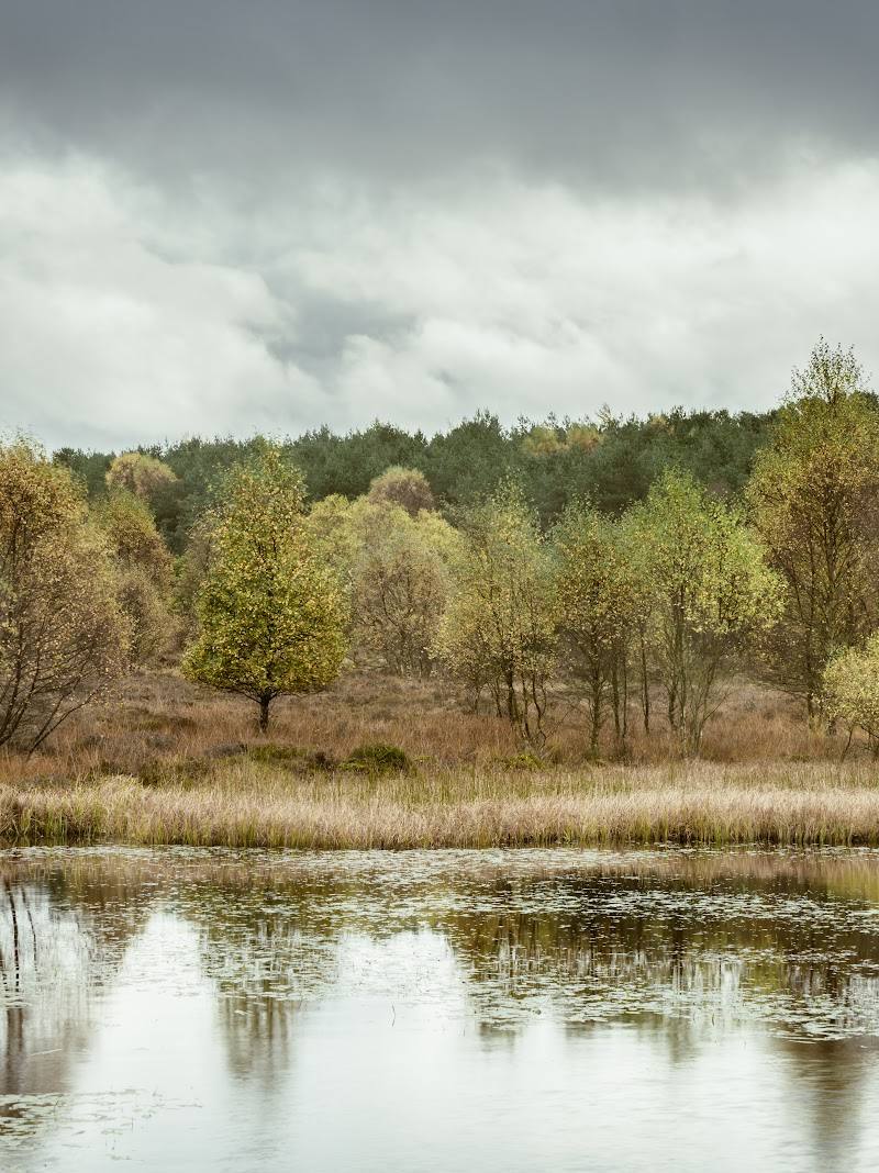 Tailend Moss Wildlife Reserve — Place photograph