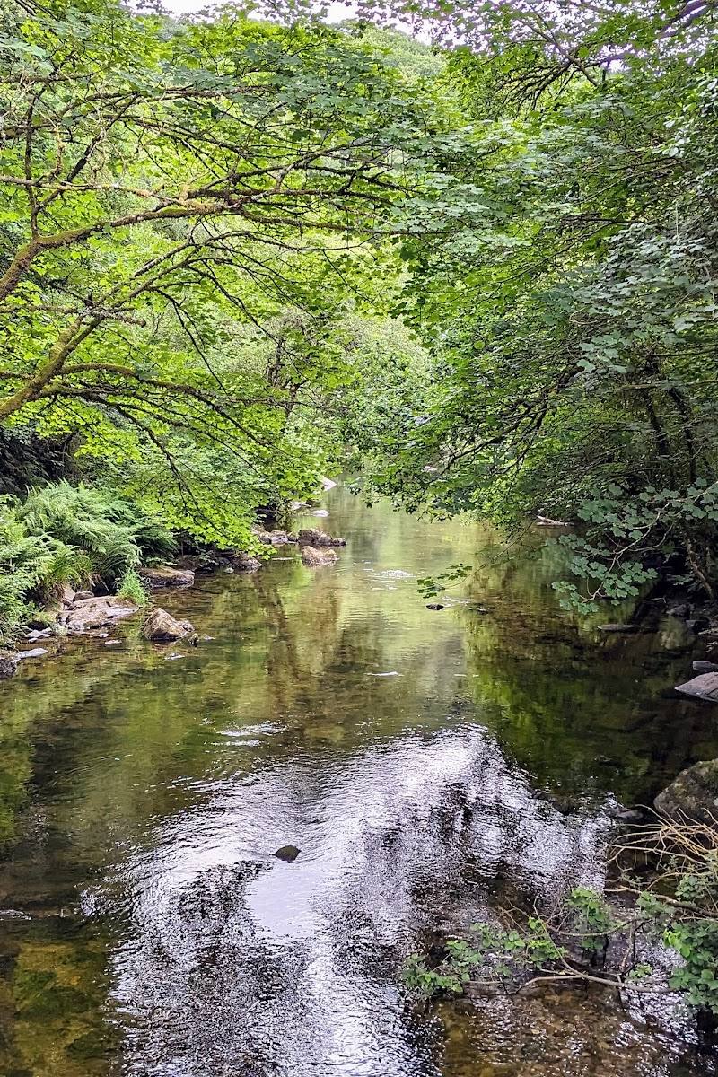 Tarr Steps Woodland National Nature Reserve