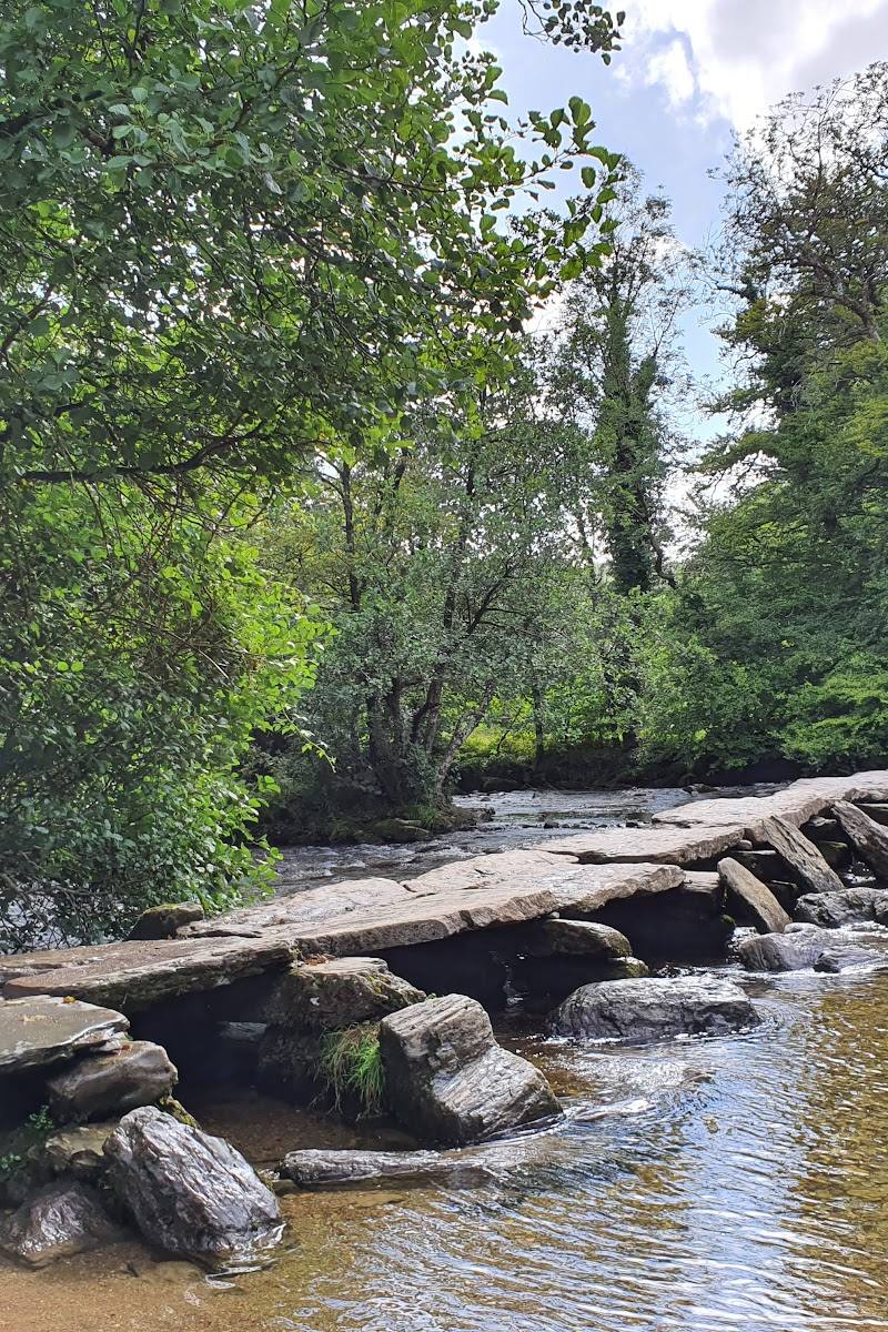 Tarr Steps Woodland National Nature Reserve