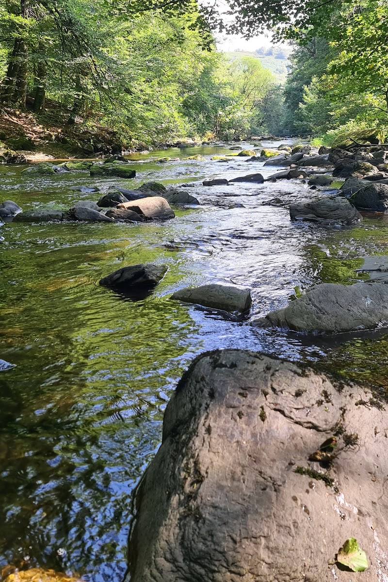 Tarr Steps Woodland National Nature Reserve — Place photograph