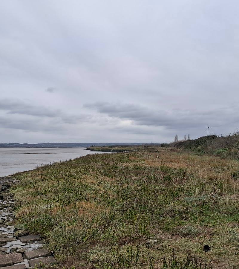 Thames Estuary Path — Source image