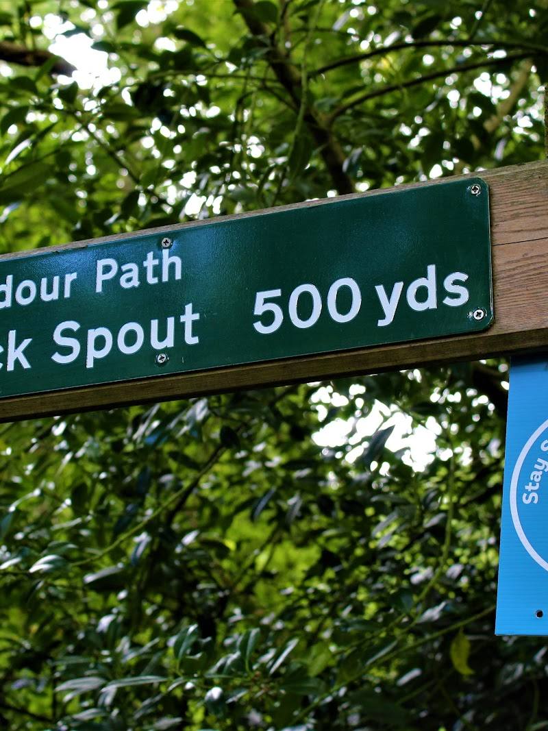 The Black Spout