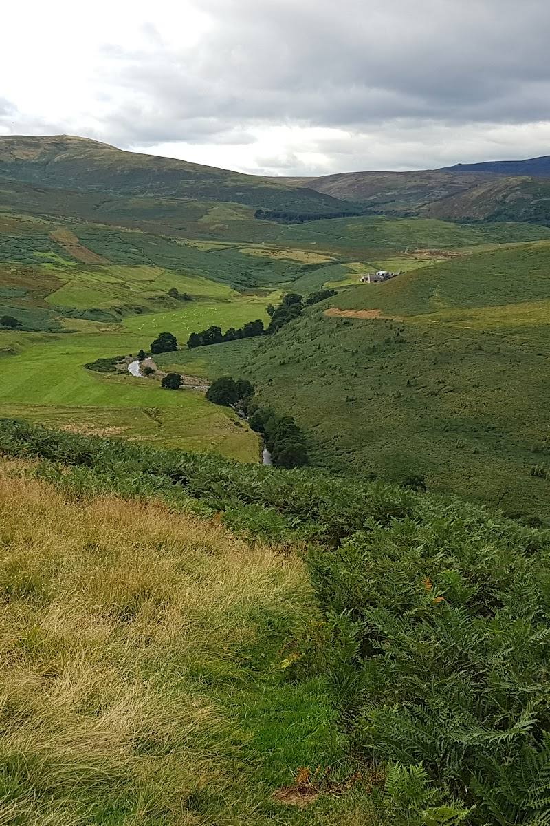 The Cheviot Hills — Place photograph