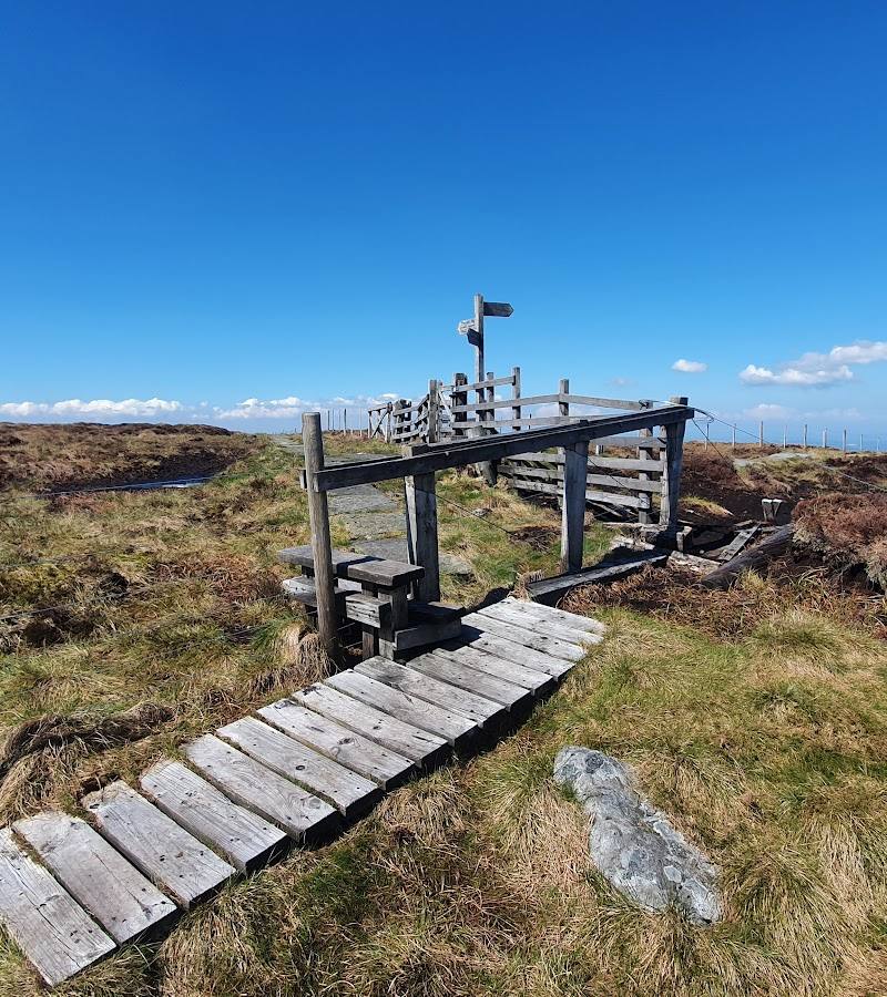 The Cheviot