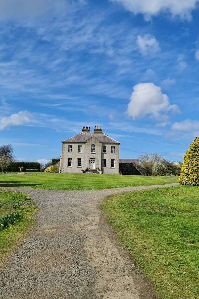 The Dark Hedges