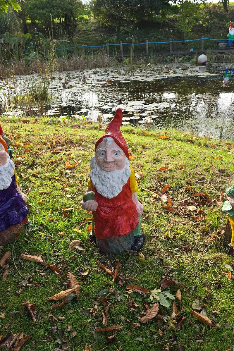 The Gnome Reserve and Wildflower Garden