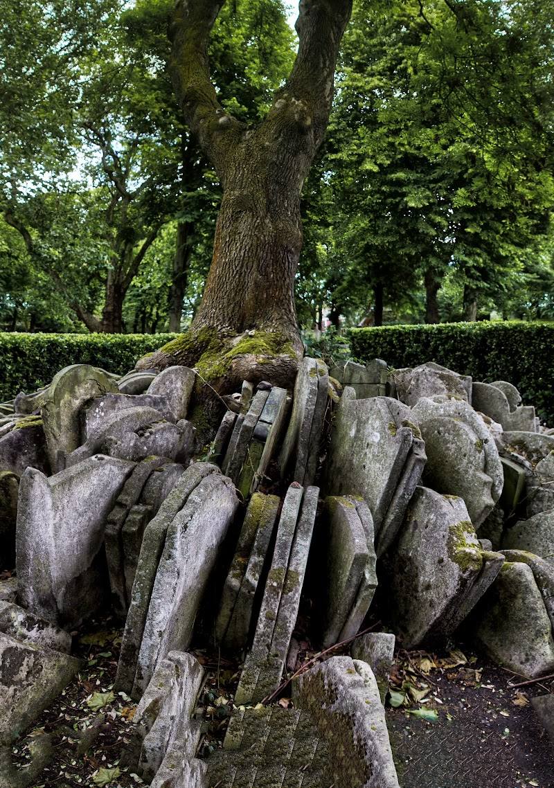 The Hardy Tree — Place photograph (1 of 3)