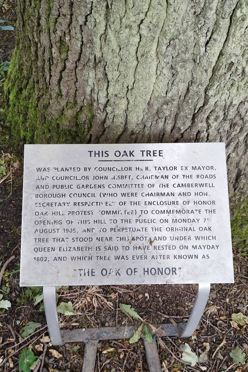 The Honor Oak — Place photograph (1 of 3)