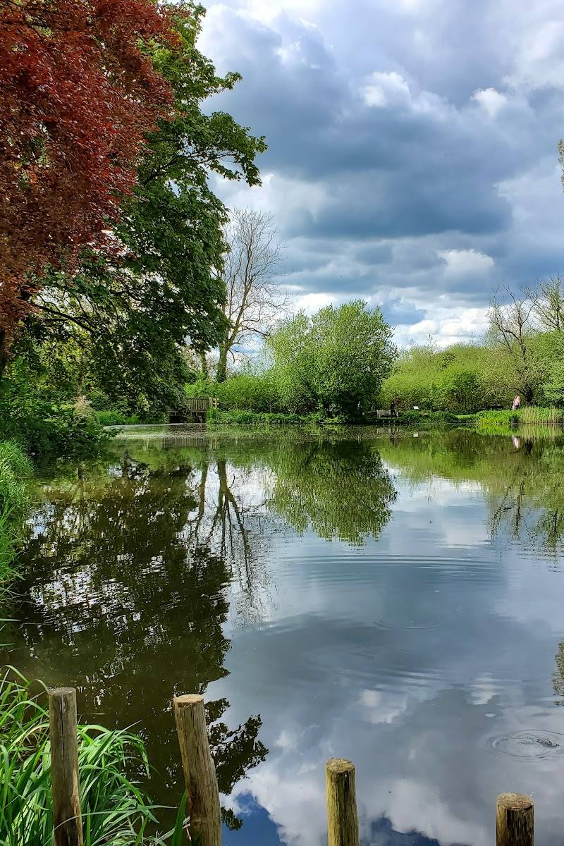 The Jubilee Lake — Place photograph