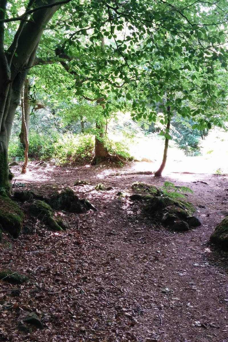 The Kymin