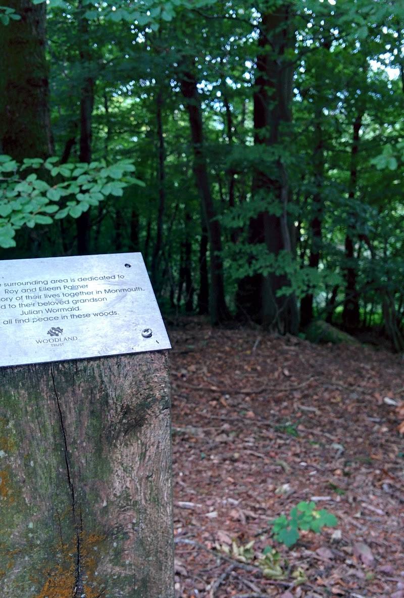 The Kymin