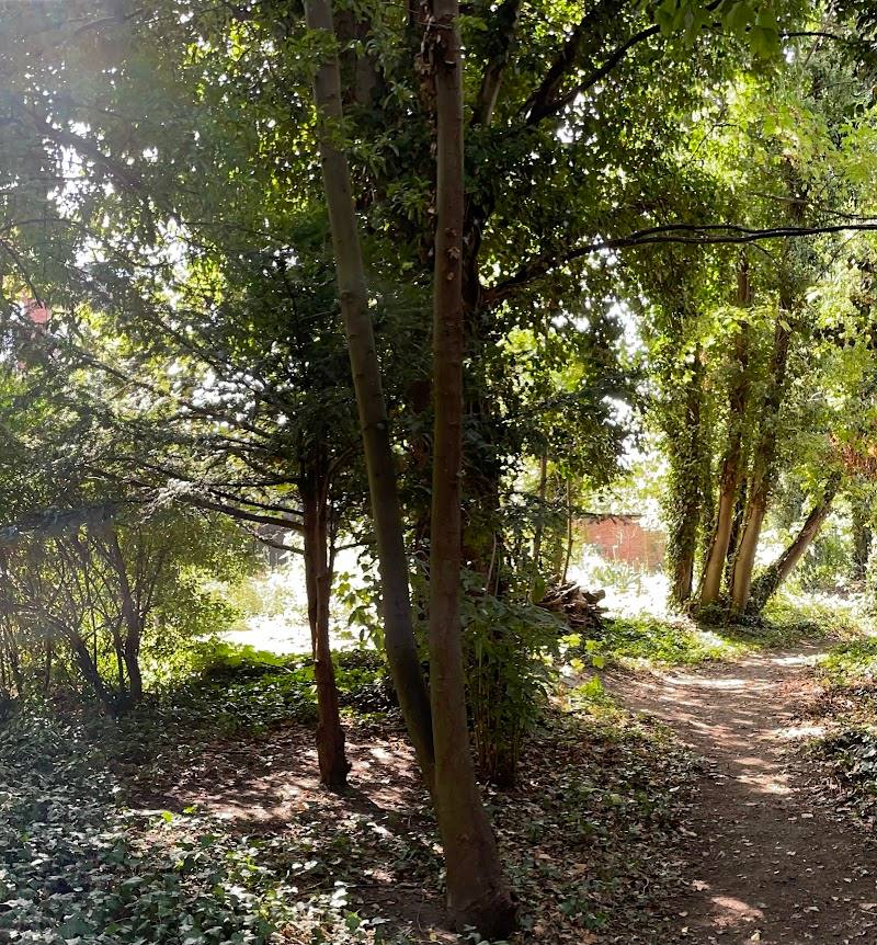 The Meadow and Wildlife Community Nature Gardens on Highbury Quadrant Estate