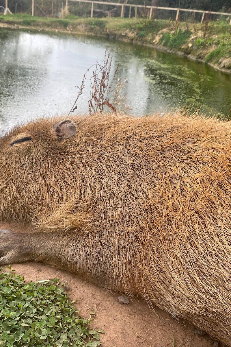 The Meadows Wildlife Park