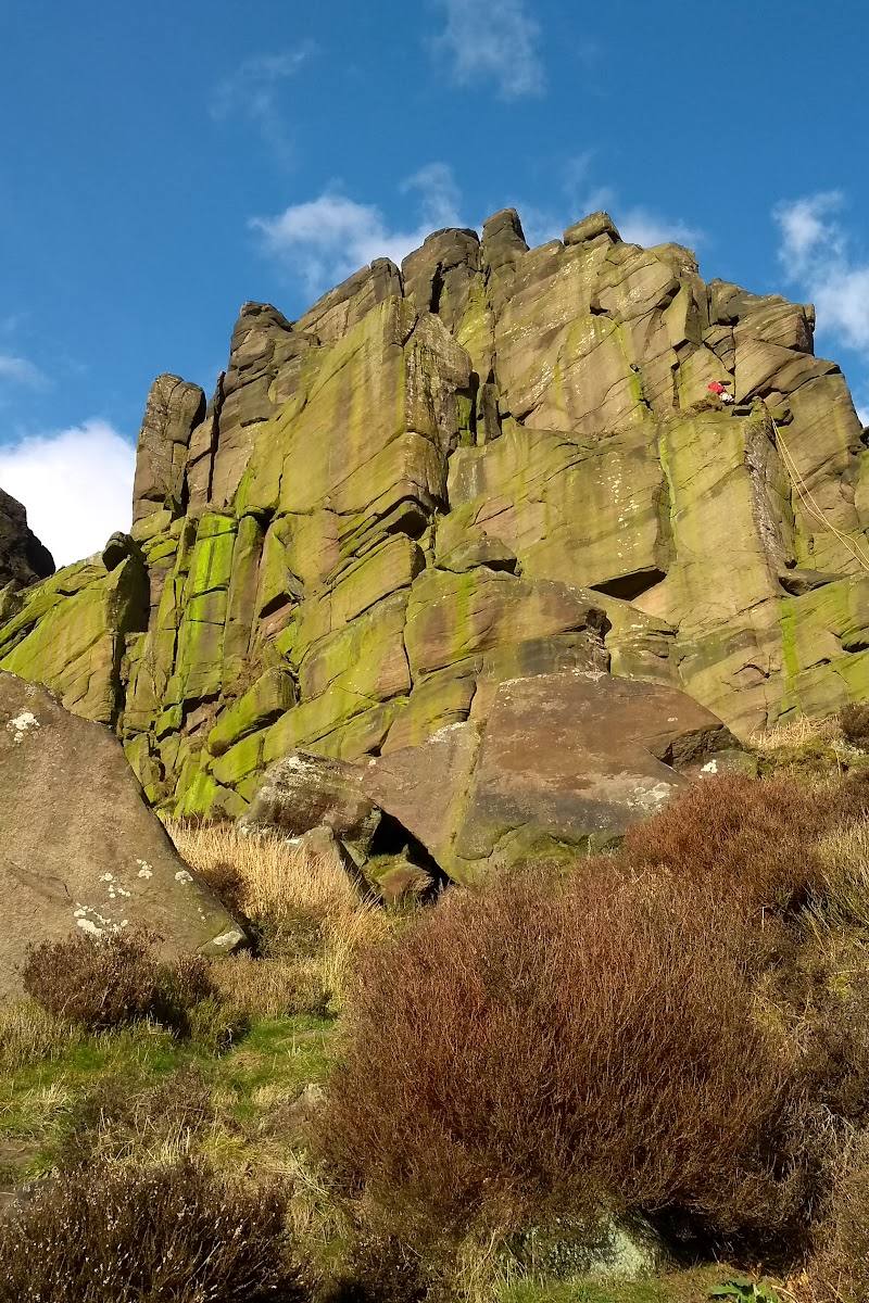 The Roaches