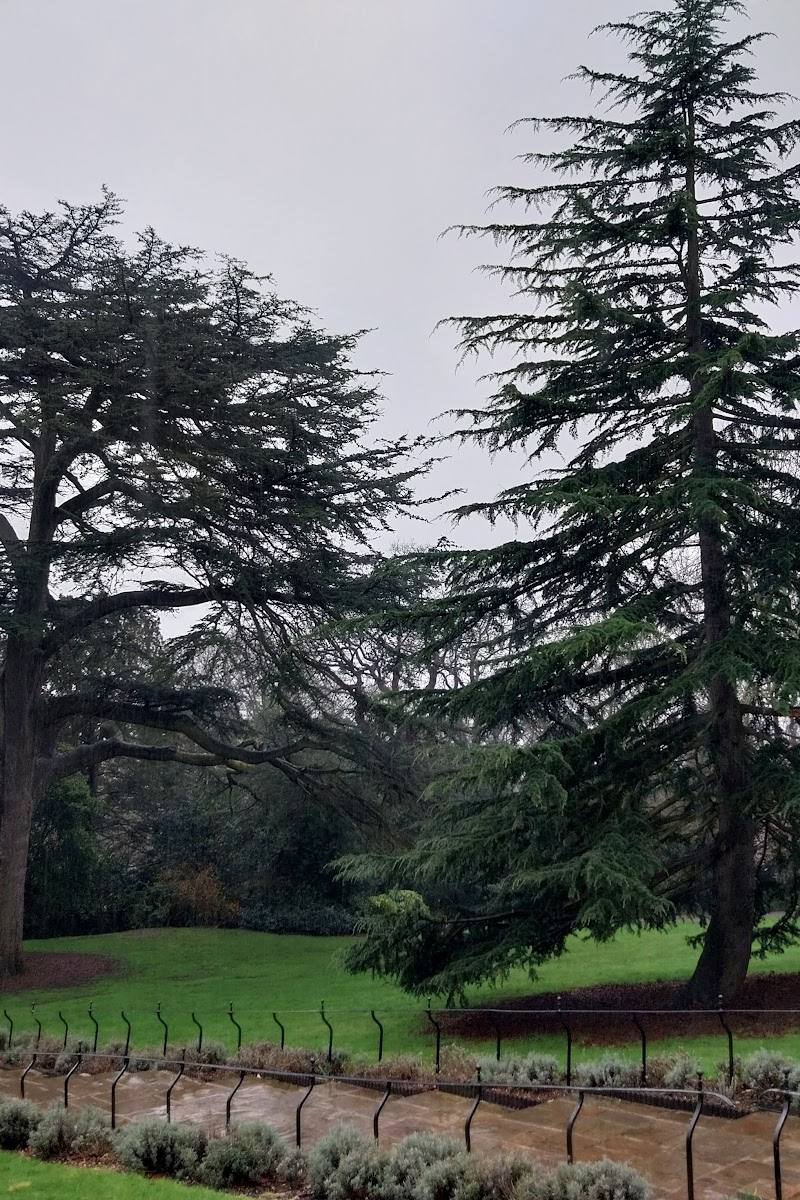 The Rookery — Place photograph (3 of 3)