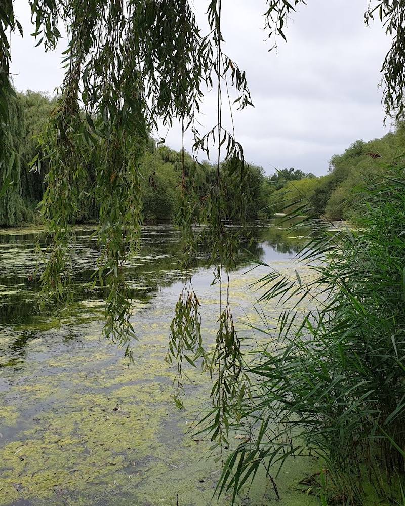 The Slack, Dagenham Chase — Source image