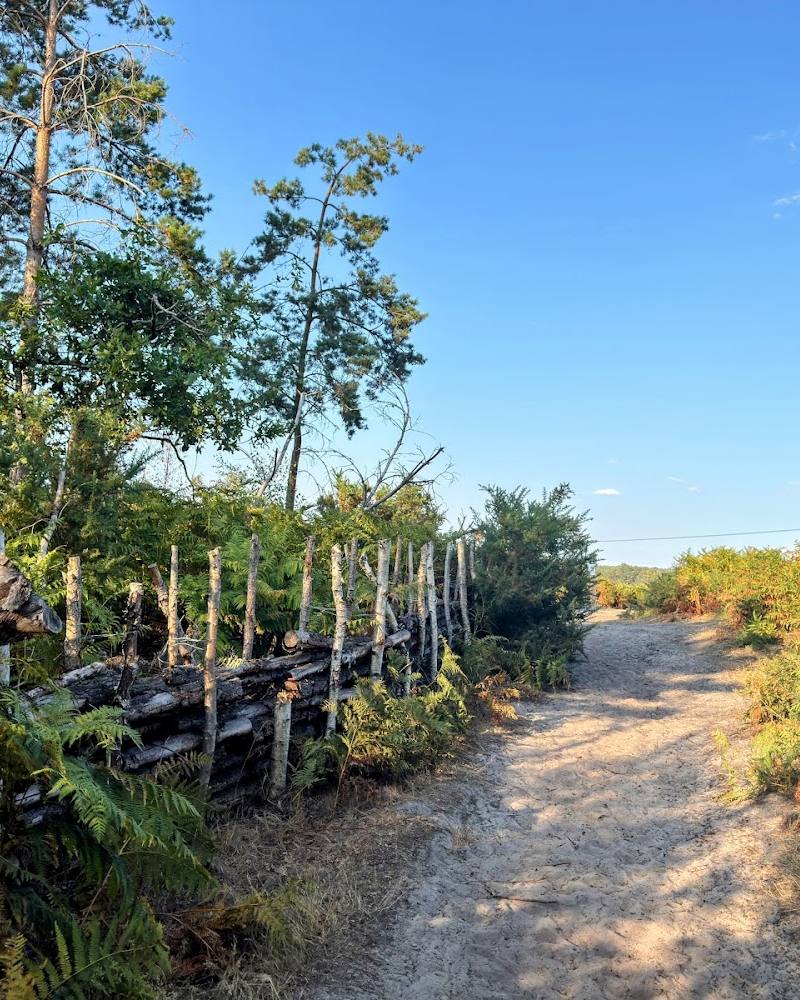 Thursley National Nature Reserve — Source image