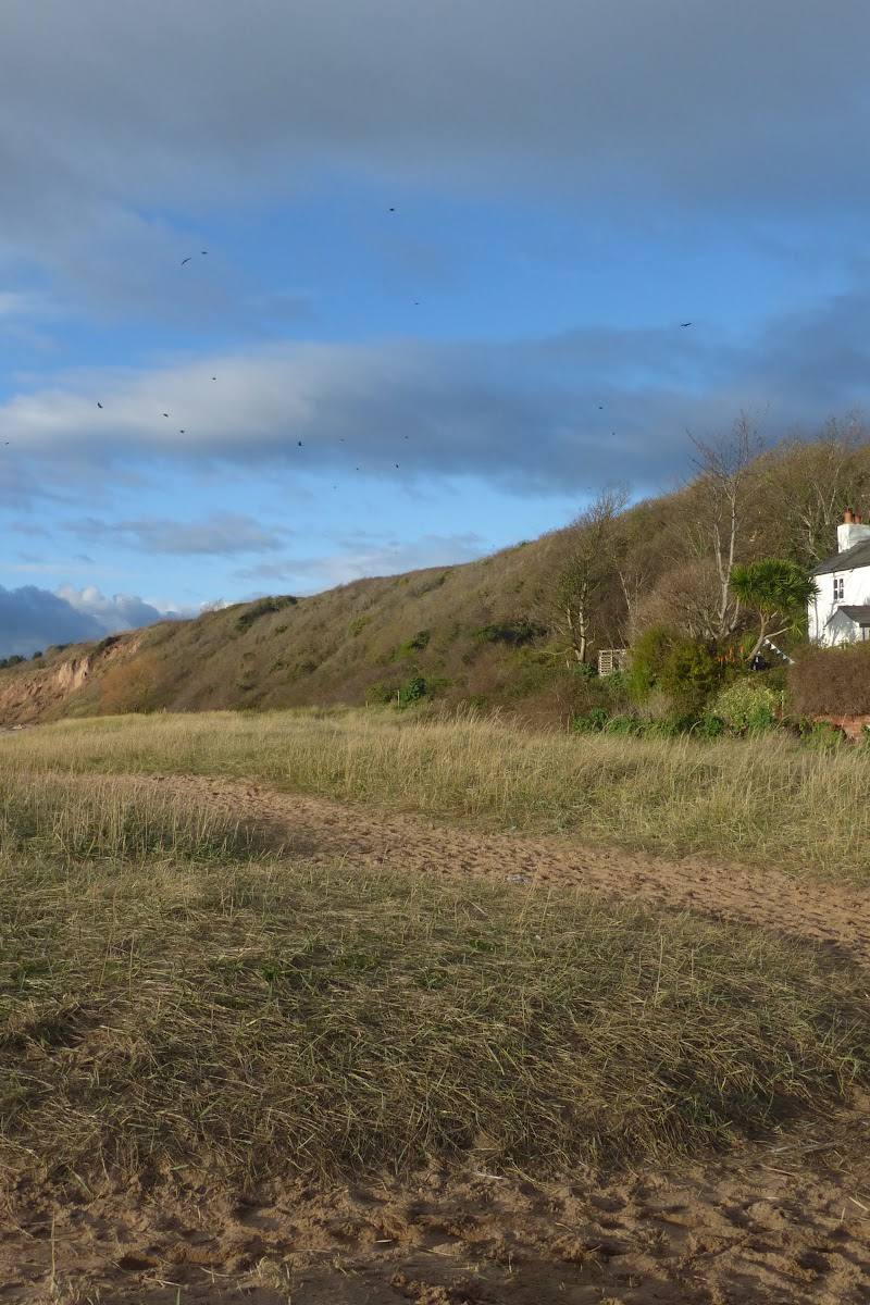 Thurstaston Beach — Place photograph