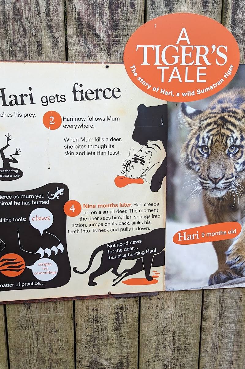 Tiger Territory — Place photograph (3 of 3)