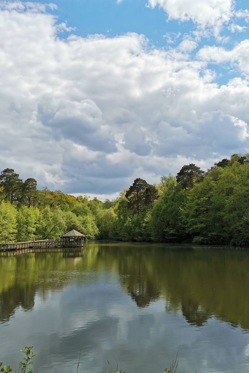 Tilgate Zoo — Place photograph