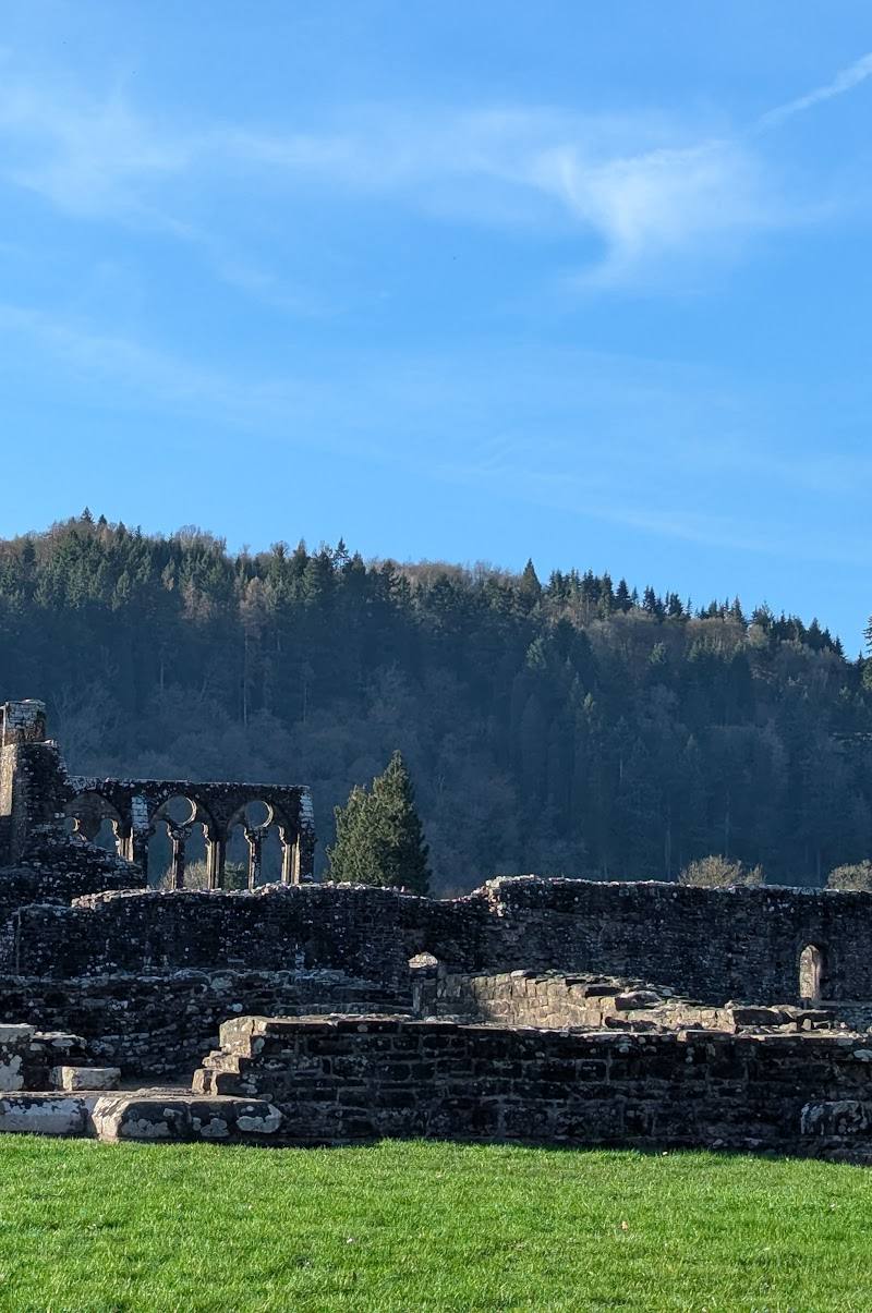Tintern Abbey