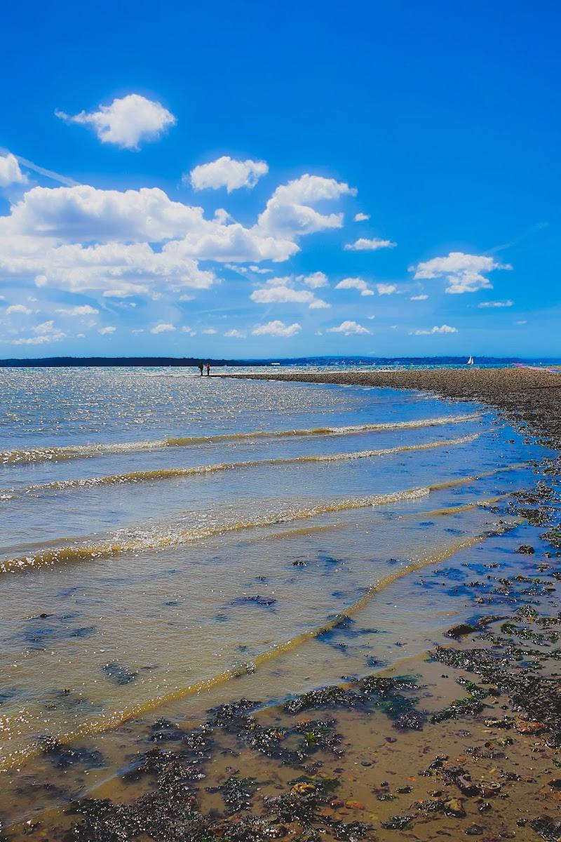 Titchfield Haven National Nature Reserve