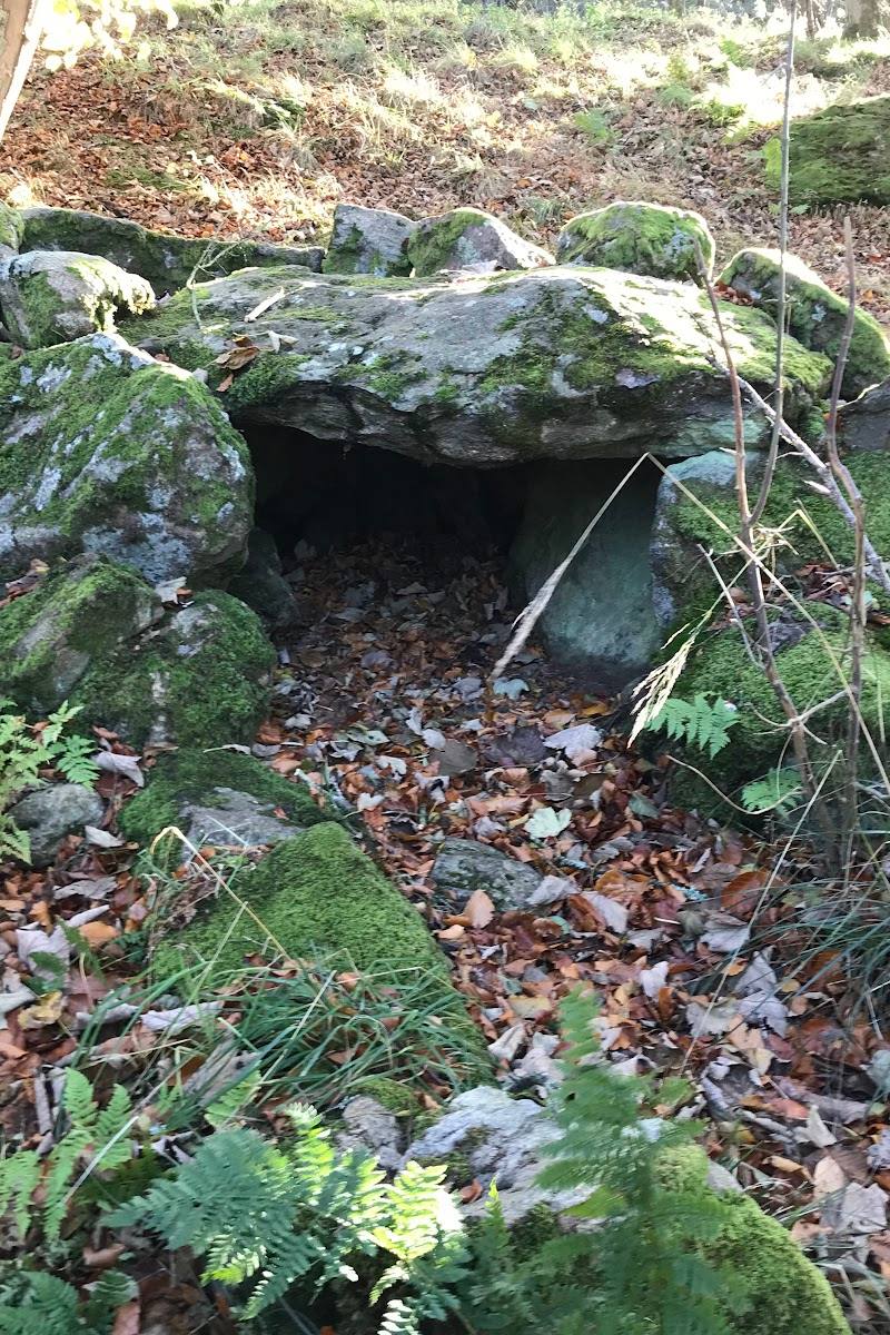Tollohill Wood — Place photograph