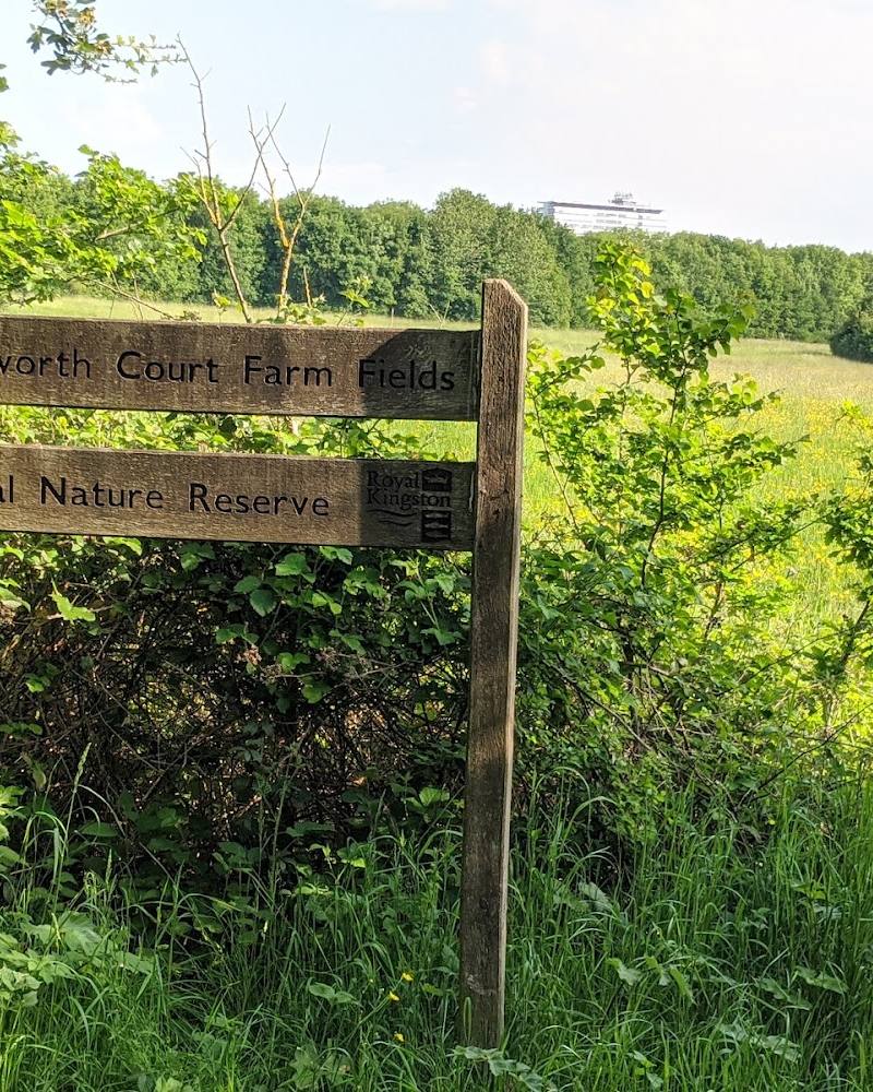 Tolworth Court Farm Fields — Source image