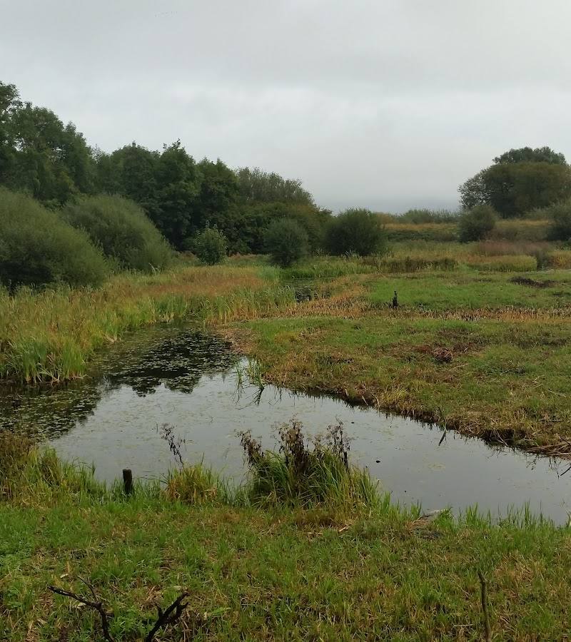 Tophill Low Nature Reserve