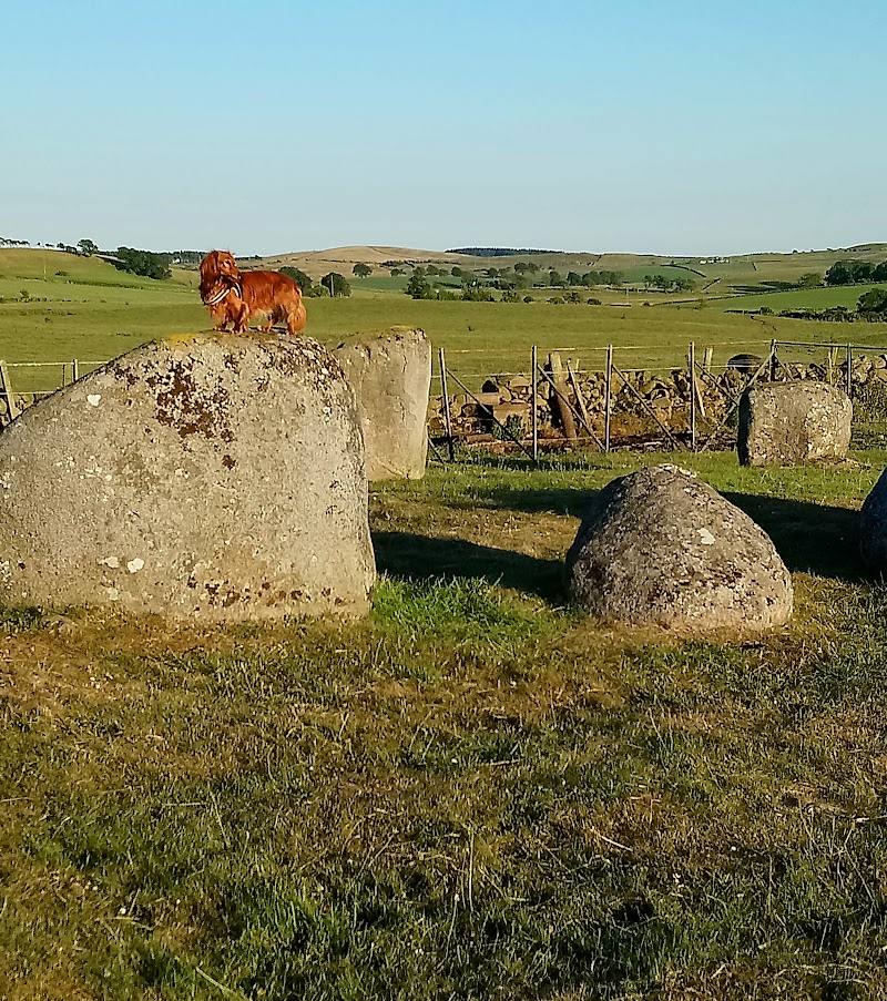 Torhouse Stone Circle — Source image
