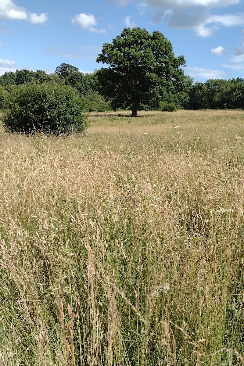 Totteridge Fields — Place photograph