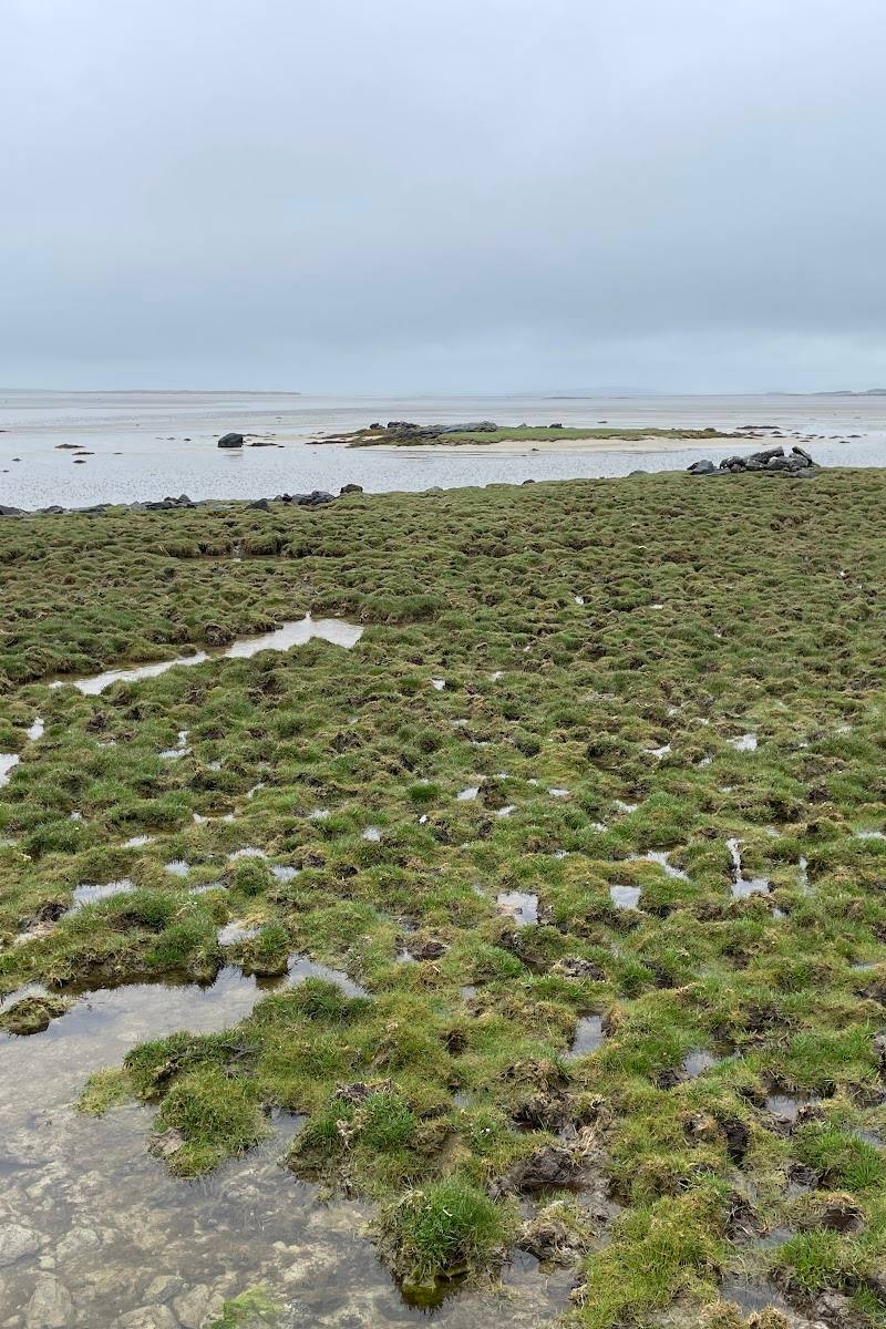 Traigh Iar Beach and Machair — Place photograph (2 of 3)