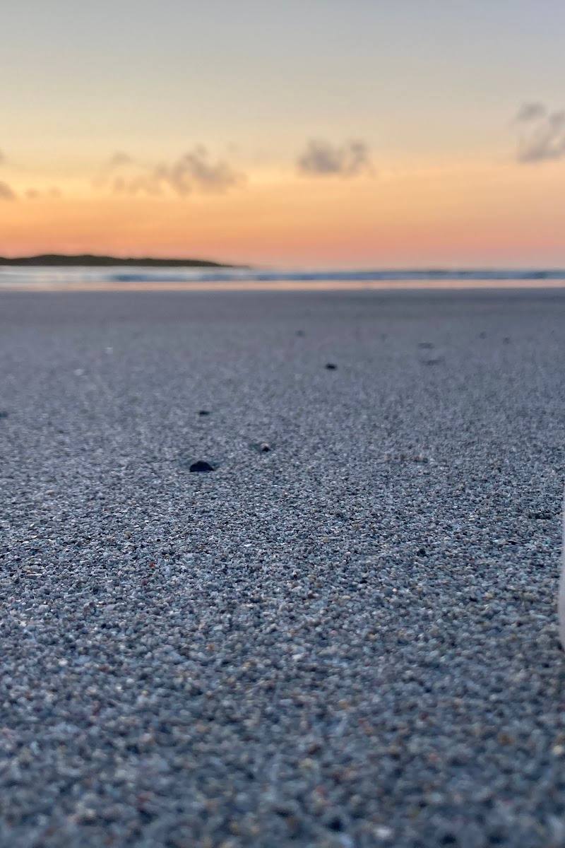 Traigh Iar Beach and Machair — Place photograph (3 of 3)