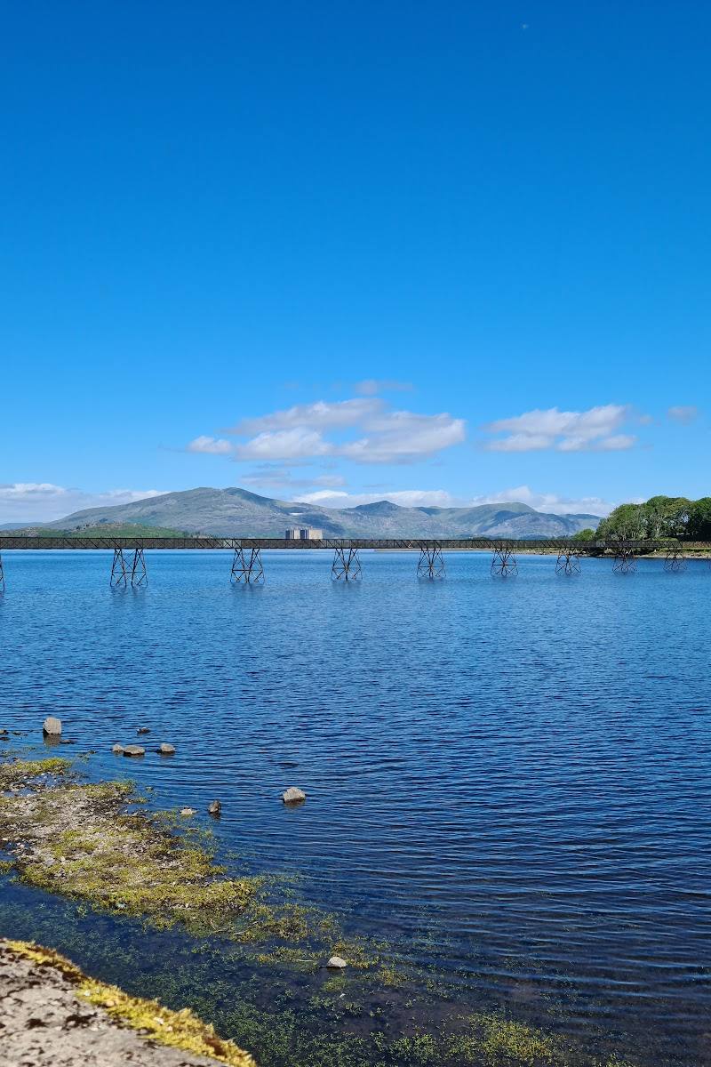 Llyn Trawsfynydd — lakeside car park and walks — Place photograph