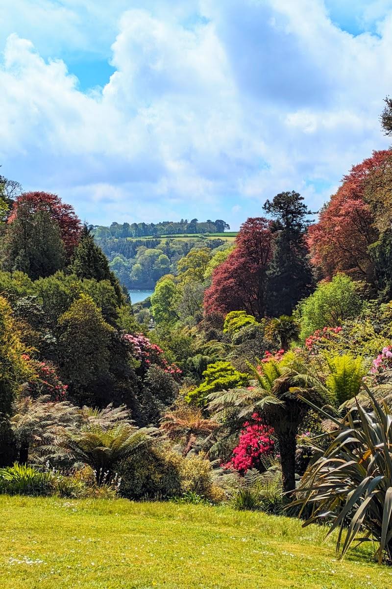 Trebah — Place photograph