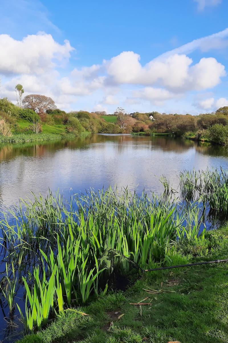 Treemeadow Trout Fishery — Place photograph