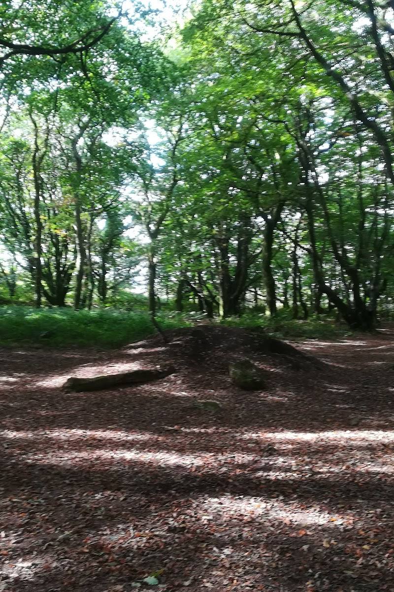 Trencrom Hill